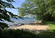 Campingplatz Seekamp  am Großen Plöner See 