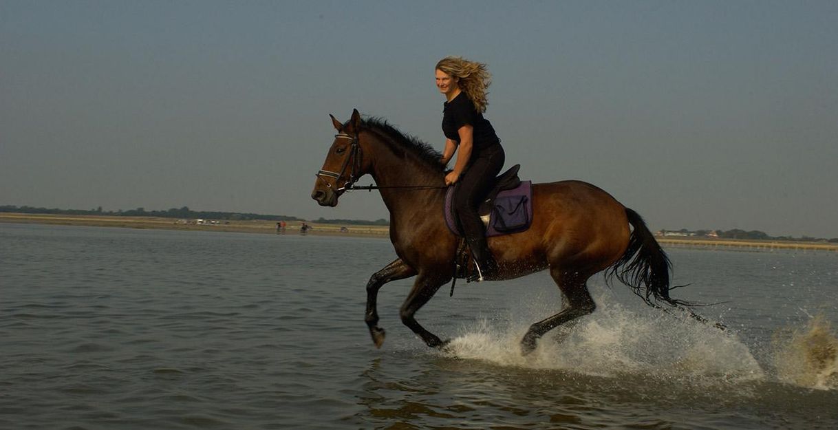 A woman rides a brown horse through shallow water. In the background, other people and a tranquil landscape can be seen.