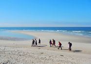 Schutzstation Wattenmeer e. V.