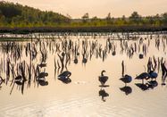 Holstein Tourismus / photocompany