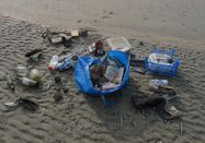 Schutzstation Wattenmeer e. V.