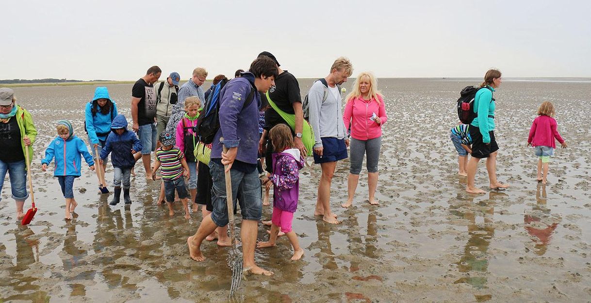 Eine Gruppe von Menschen erkundet das Watt. Viele Kinder sind dabei und tragen bunte Kleidung.