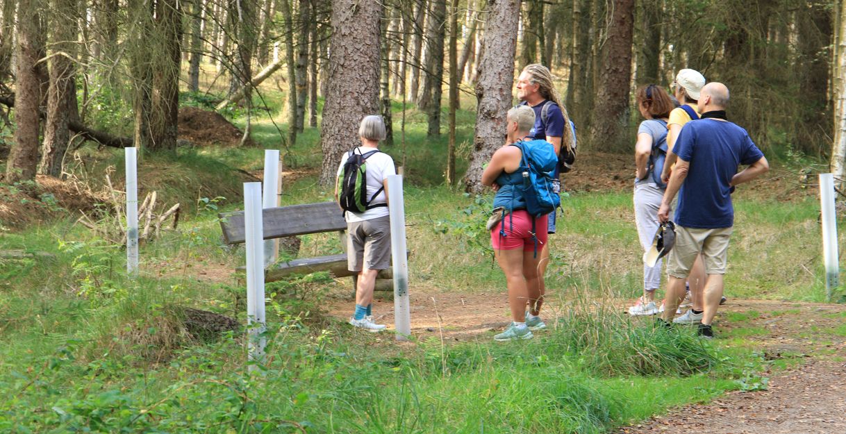 A group of hikers stands in the forest and looks at a wooden bench. The surroundings are green and surrounded by tall trees.