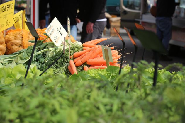 Ein Markstand mit frischem Gemüse, darunter orange Karotten und grüne Salate. Im Hintergrund sind Menschen zu sehen, die den Markt besuchen.