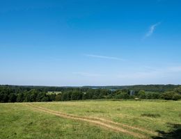 Grüne Wiese mit einem Pfad, umgeben von Bäumen und einem blauen Himmel im Hintergrund.