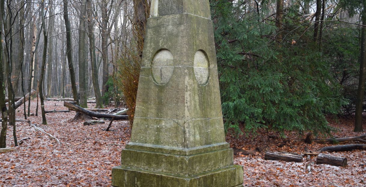 Altes steinernes Denkmal im herbstlich-winterlichen Wald bei Schafflund. Der Obelisk steht auf einem Sockel, seine Oberfläche ist verwittert. Auf der Vorderseite befinden sich zwei ovale Vertiefungen und eine verblasste Inschrift. Rundherum liegen gefallene Blätter und vereinzelte Äste, der Wald wirkt ruhig und naturbelassen.