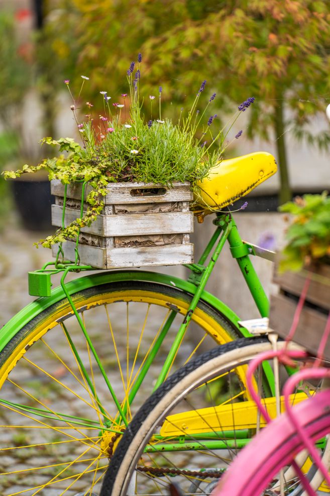 Ein buntes Fahrrad mit einem Blumenkasten auf dem Gepäckträger, gefüllt mit Lavendel und anderen Pflanzen.
