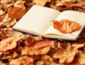 An open book lies on a floor of autumn leaves. A single leaf is placed on the page of the book.