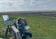 Nordseeküste Nordfriesland