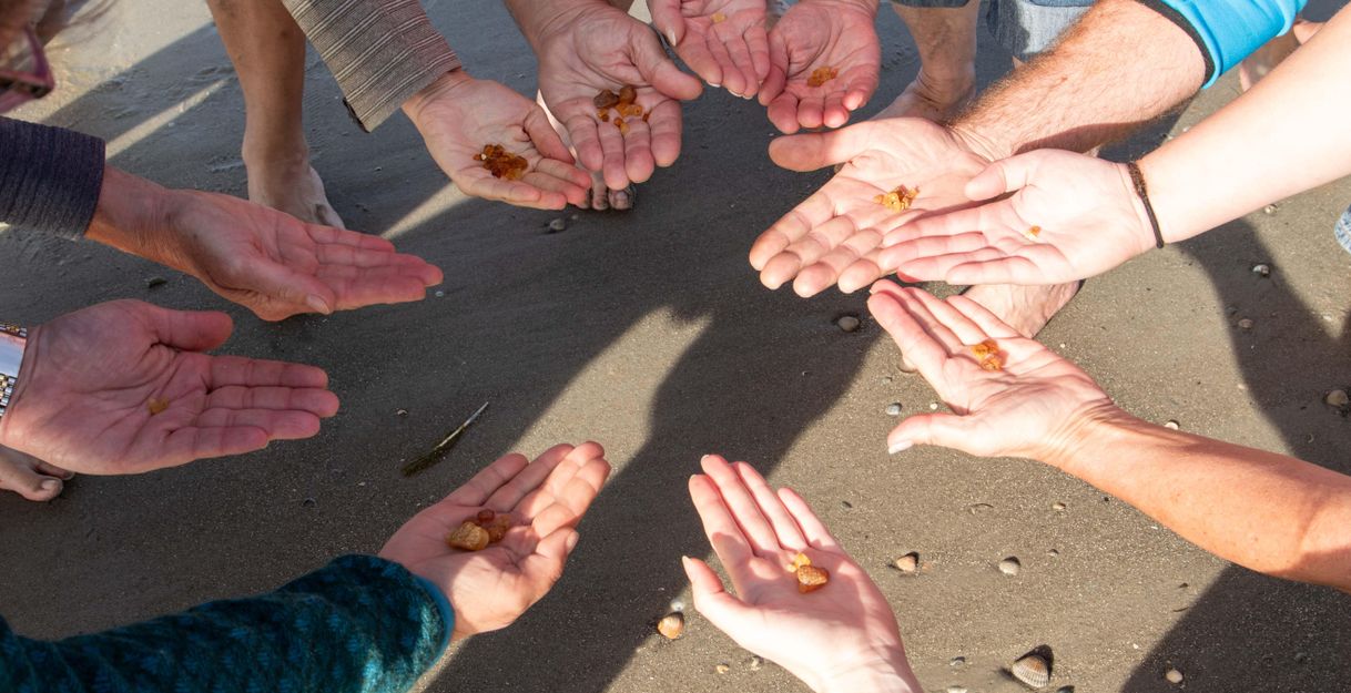 A group of hands holds small objects as they gather on the beach. The sand and the surrounding environment are visible.