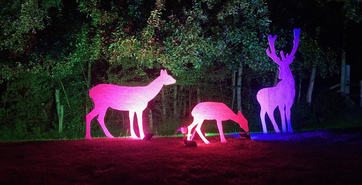 Bunte Schatten von Rehen und einem Hirsch im Dunkeln. Die Figuren sind durch farbiges Licht beleuchtet und stehen vor einem Waldhintergrund.