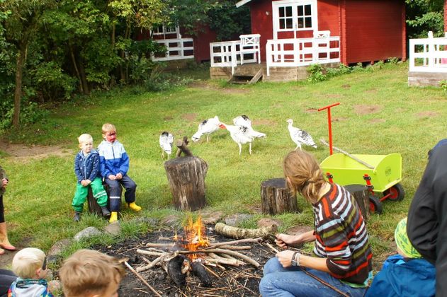 Kinder sitzen an einem Feuer und machen Stockbrot 