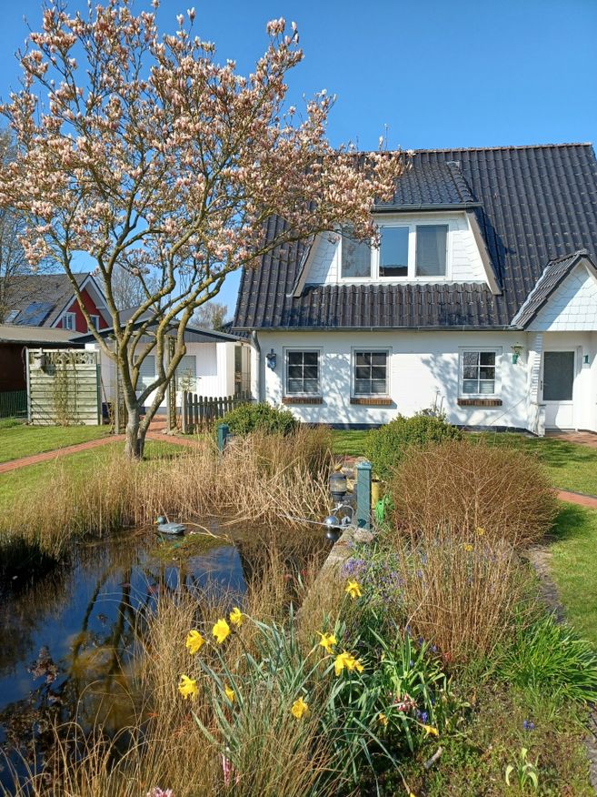 Haus mit dunklem Dach, blühendem Magnolienbaum und Gartenteich mit Schilf und Narzissen im Vordergrund.