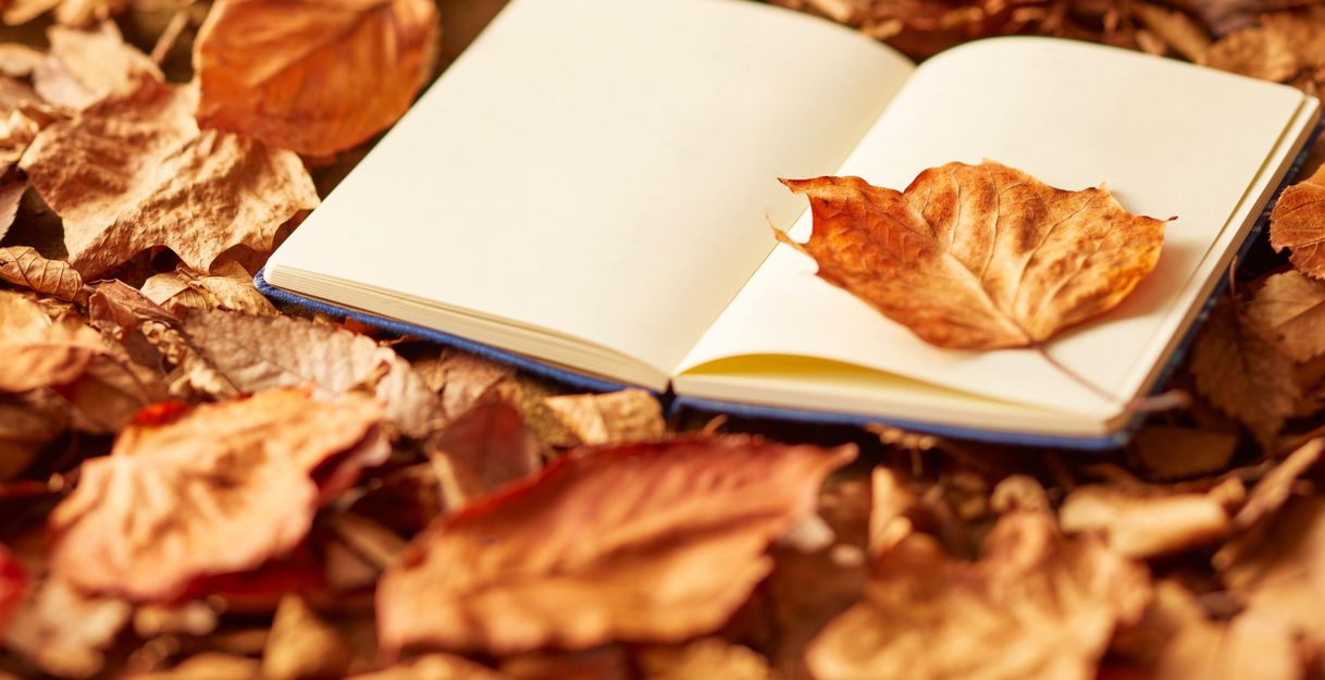 An open book lies on a floor of autumn leaves. A single leaf is placed on the page of the book.