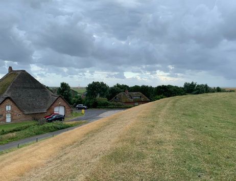 Eine ländliche Landschaft mit zwei reetgedeckten Häusern und einer Wiese. Der Himmel ist bewölkt und es gibt einige Bäume im Hintergrund.