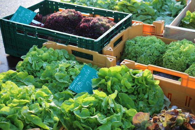 Fresh salad in crates at a market. The picture shows various types of green vegetables, surrounded by a lively market atmosphere.