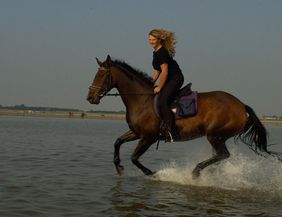 A woman rides a brown horse through shallow water. In the background, other people and a tranquil landscape can be seen.