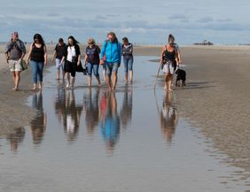 A group of people is walking barefoot along the beach. In the foreground, their reflections can be seen in the water.