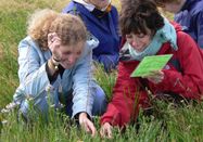 Schutzstation Wattenmeer e. V.