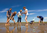 Schutzstation Wattenmeer