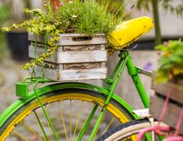 Ein buntes Fahrrad mit einem Blumenkasten auf dem Gepäckträger, gefüllt mit Lavendel und anderen Pflanzen.