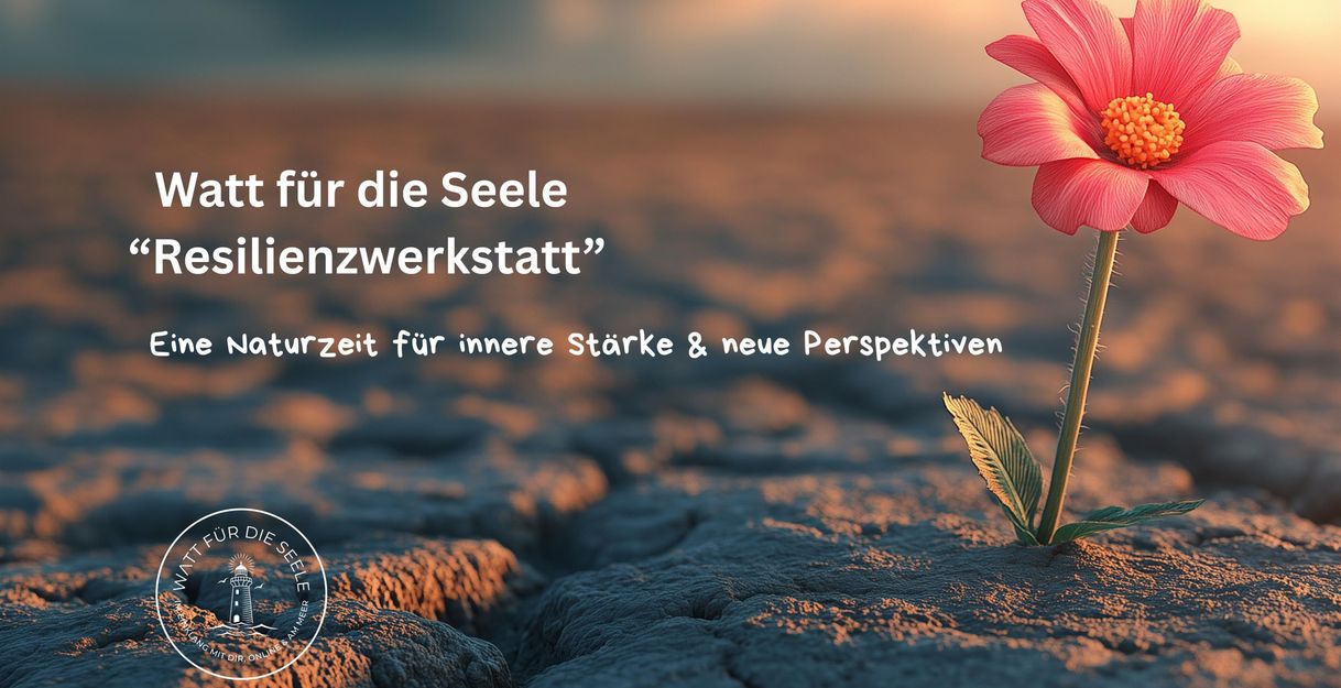 Eine zarte Blume wächst aus rissigem, grauem Boden. Der Hintergrund zeigt einen sanften Sonnenuntergang mit warmen Farben.